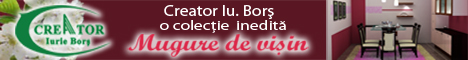 Creator Iu. Bors