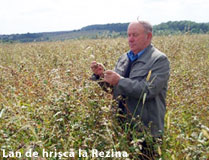 Case Frumoase In Moldova