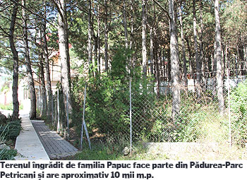 440-papuc-casa-3