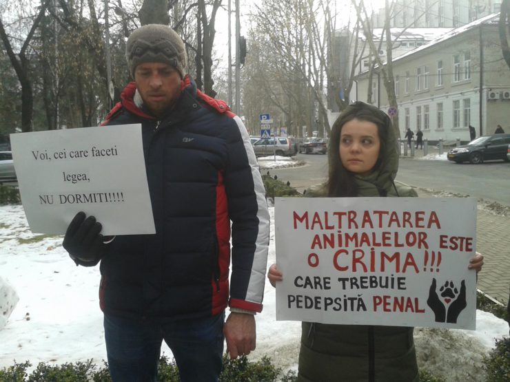 Protestatarii au intrat în clădirea Ministerului Justiției: „Treziți-vă”