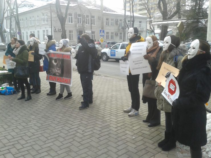 Protestatarii au intrat în clădirea Ministerului Justiției: „Treziți-vă”