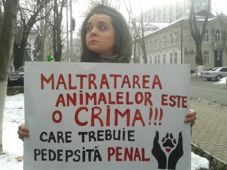 Protestatarii au intrat în clădirea Ministerului Justiției: „Treziți-vă”