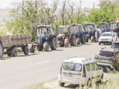 The Drought Pushed the Farmers to Protests, Asking the Authorities to Support the Agriculture Sector