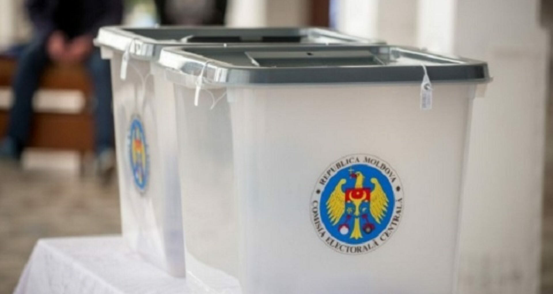 MEPs Declare Irregularities in the Presidential Electoral Process of Moldova