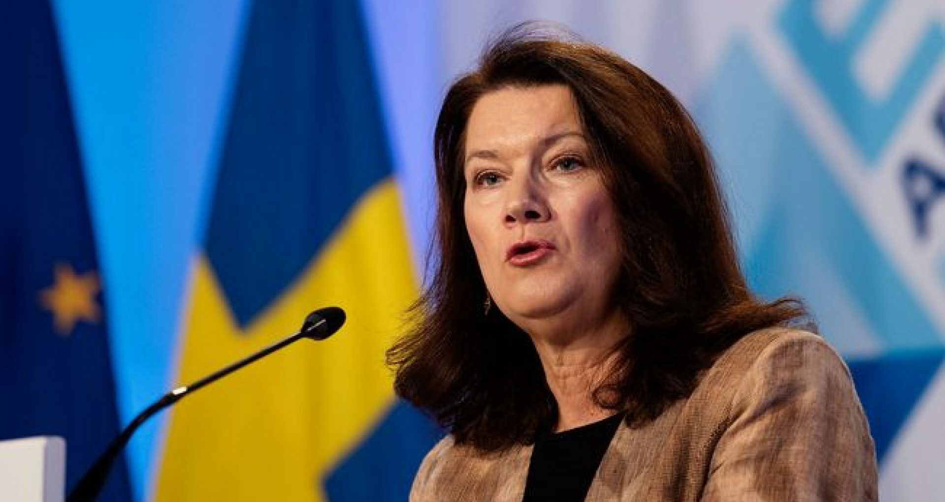 Swedish Minister of Foreign Affairs, Ann Linde, will Visit Moldova