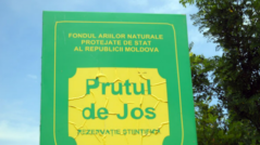The Government has Approved the Regulations for the Operation of the Prutul de Jos Biosphere Reserve: It Contributes to the Protection of Flora and Fauna