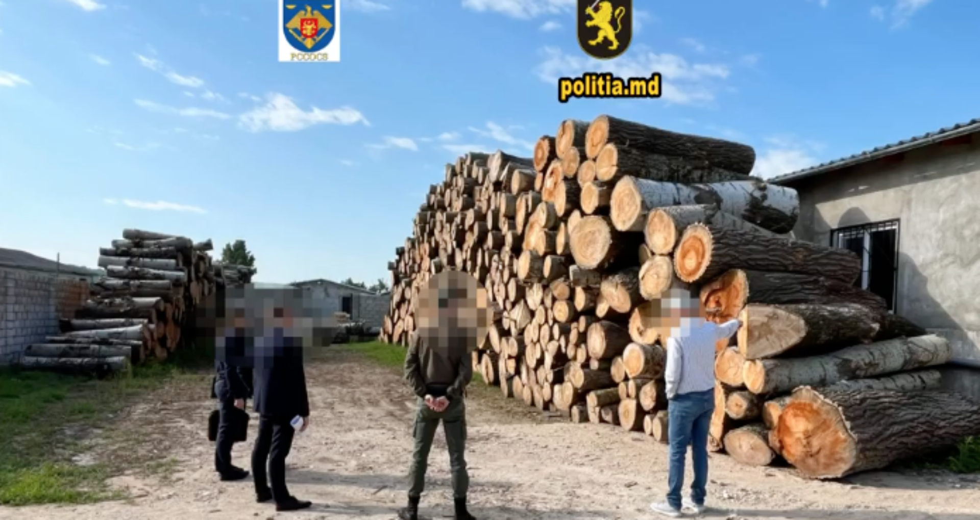 The head of a forestry farm in Hincesti and his son, about whom ZdG wrote in the investigation Forest Thieves (II), targeted in the case of illegal felling of 1400 trees