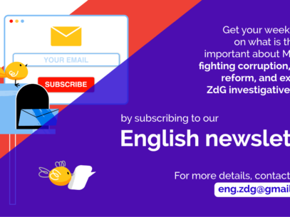 The ZdG English newsletter is back – sign up now!