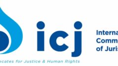 ICJ concerned at constitutional crisis in Moldova