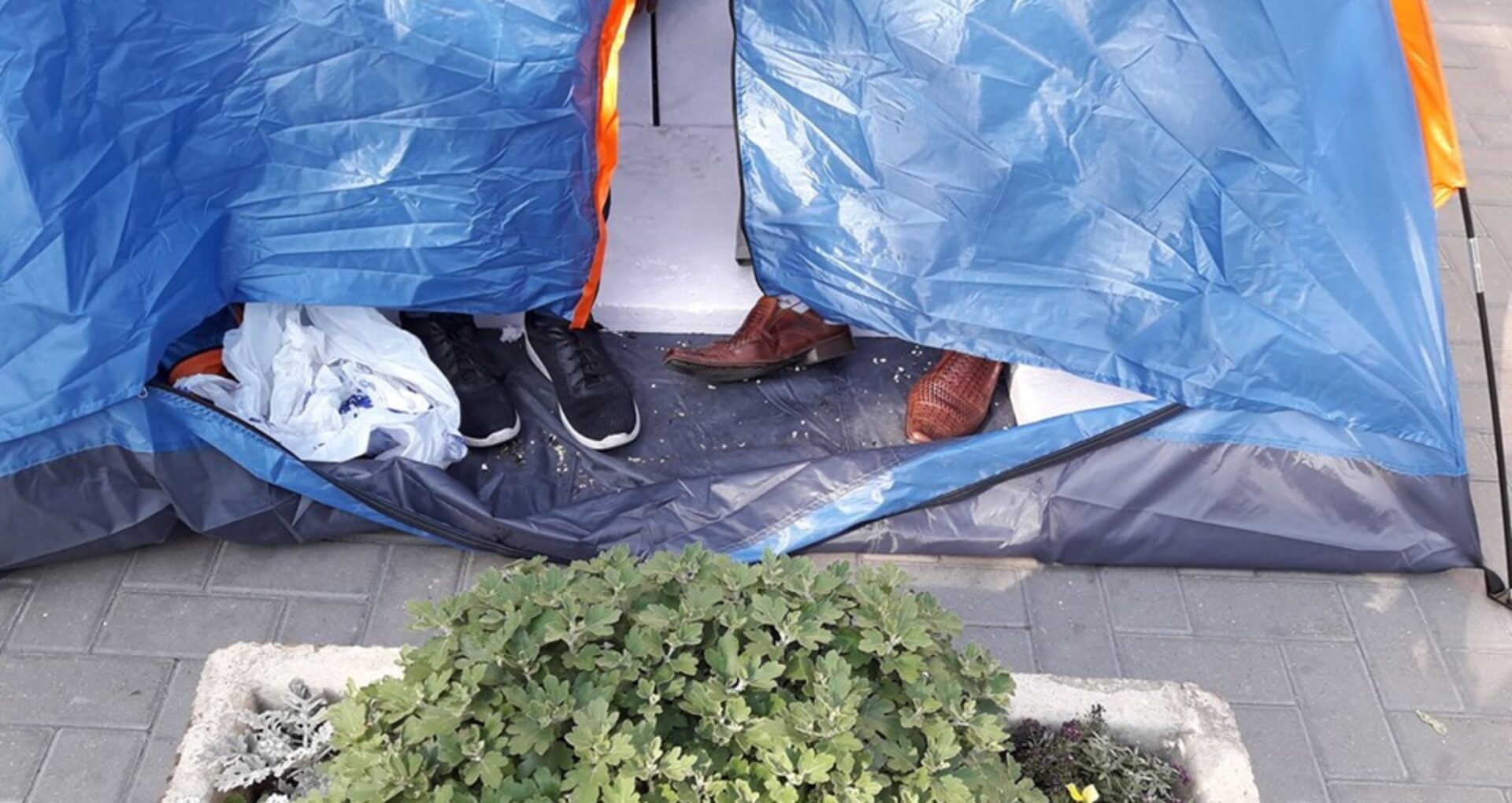 VIDEO / Under cover: “Food, and roubles, and ice cream, and pool.” How much does a day of sitting in tents in front of state institutions cost