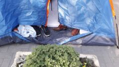 VIDEO / Under cover: “Food, and roubles, and ice cream, and pool.” How much does a day of sitting in tents in front of state institutions cost