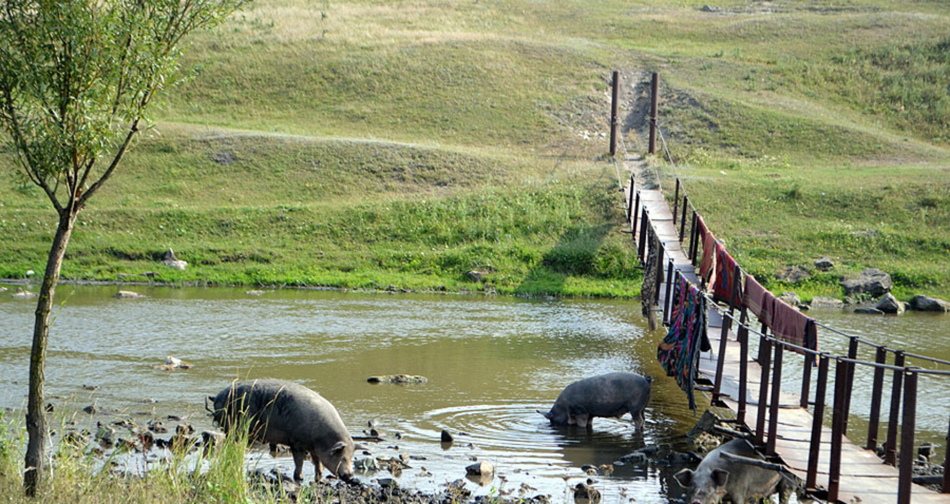 Poluarea Problema Care Curge Pe Raurile Din R Moldova Ziarul De GardÄ
