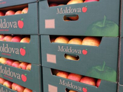 R. Moldova și-a redus exporturile de fructe în Rusia