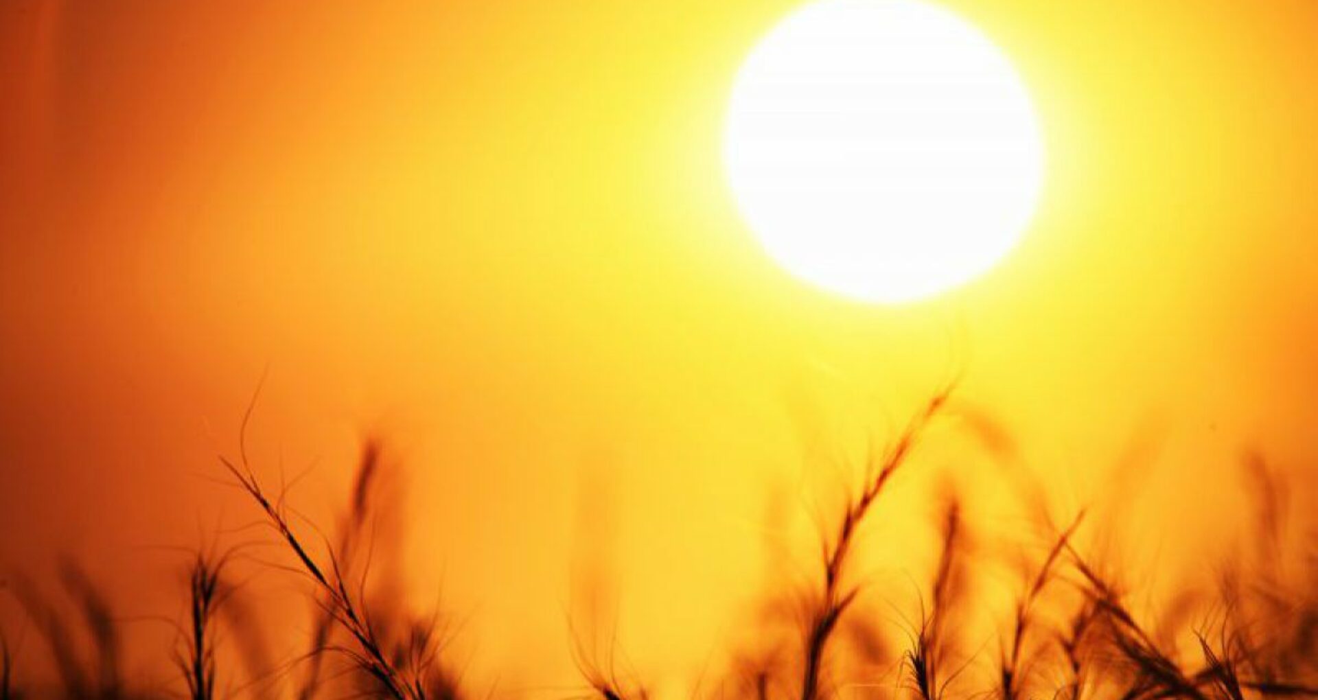 Meteorologii au emis cod galben de caniculă în sudul țării. Când intră în vigoare avertizarea – Ziarul de Gardă