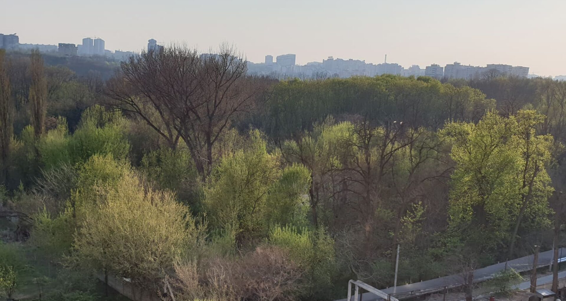 Pe timp de pandemie: Copaci defrișați ilegal și teren privat din interiorul parcului Valea Trandafirilor – îngrădit. În februarie, o companie de construcții a cumpărat terenul de la o fostă companie de asigurări