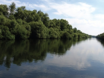 SHS atenționează că în bazinul râului Prut se atestă scurgere scăzută a apei cu 20-30% din valorile medii multianuale. Avertizarea hidrologică emisă de meteorologi