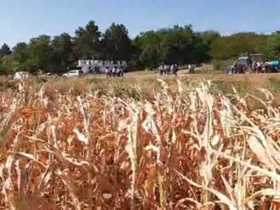 Video/ Protest al agricultorilor la Cimișlia. Fermierii și-au adus și utilajele care îi ajută să-și câștige pâinea: „Vindem și tractoare și tot ca să dăm datoriile”