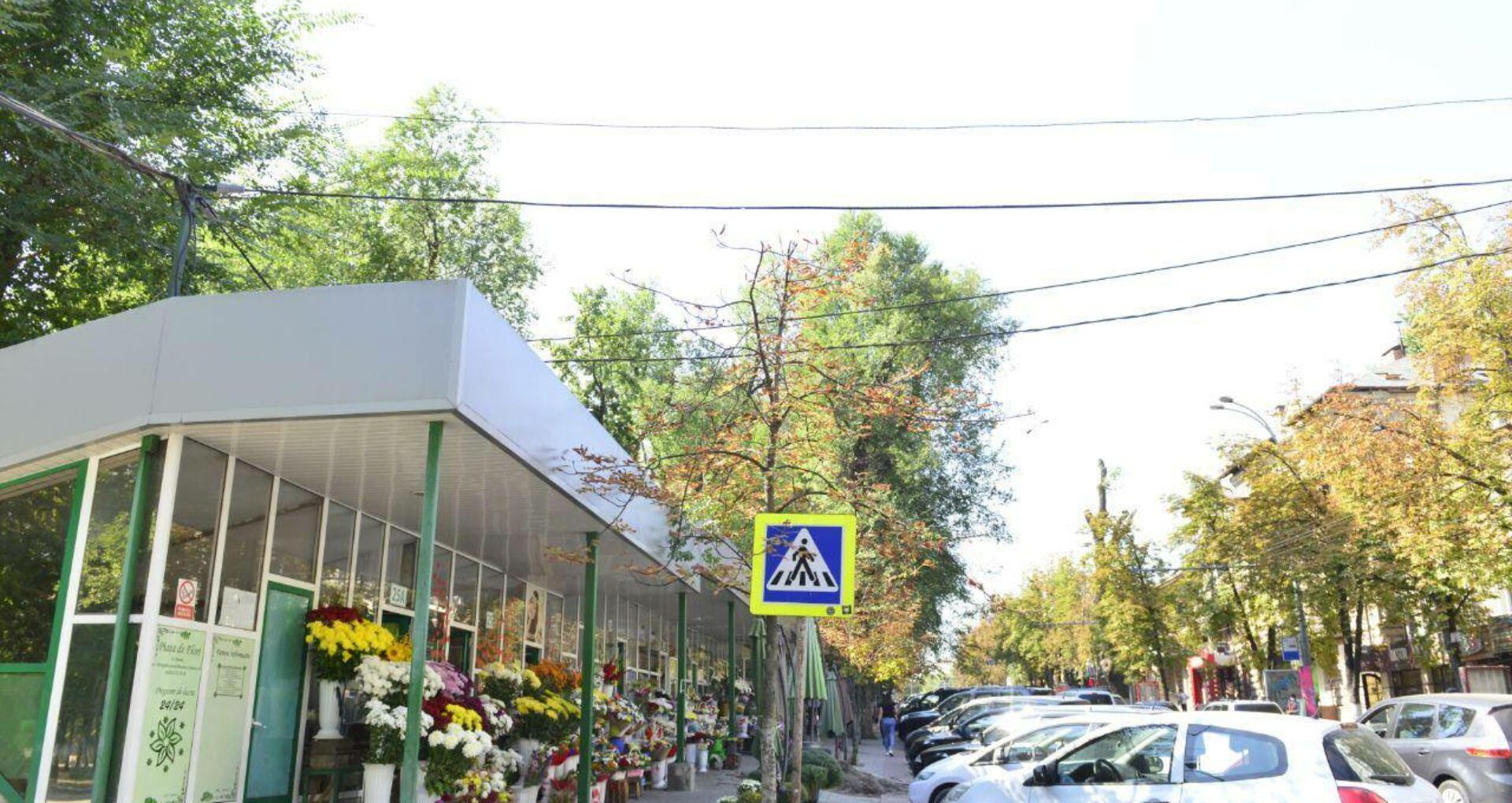 Gheretele cu flori de pe str. G. BănulescuBodoni ar putea fi modernizate, iar trotuarul din