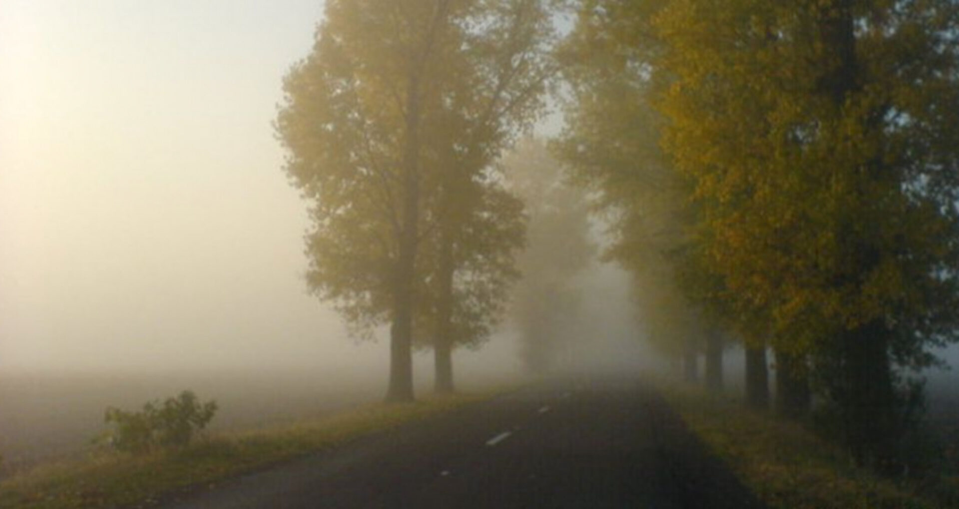 METEO/ Codul galben de ceață se menține și în această dimineață