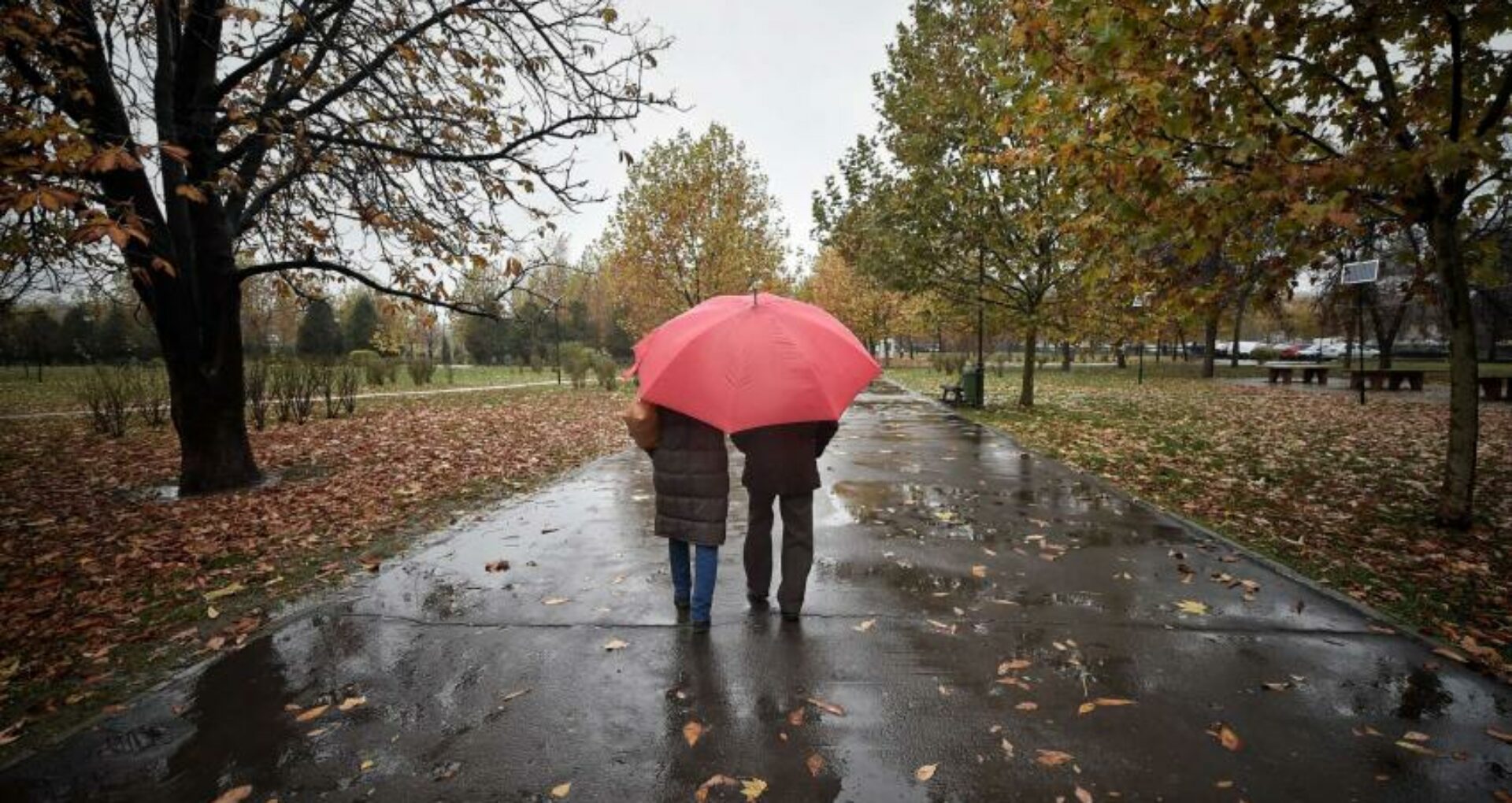 METEO/ Ploi slabe și răcire bruscă a vremii. În câteva zile temperaturile vor scădea până la 10..15 grade Celsius