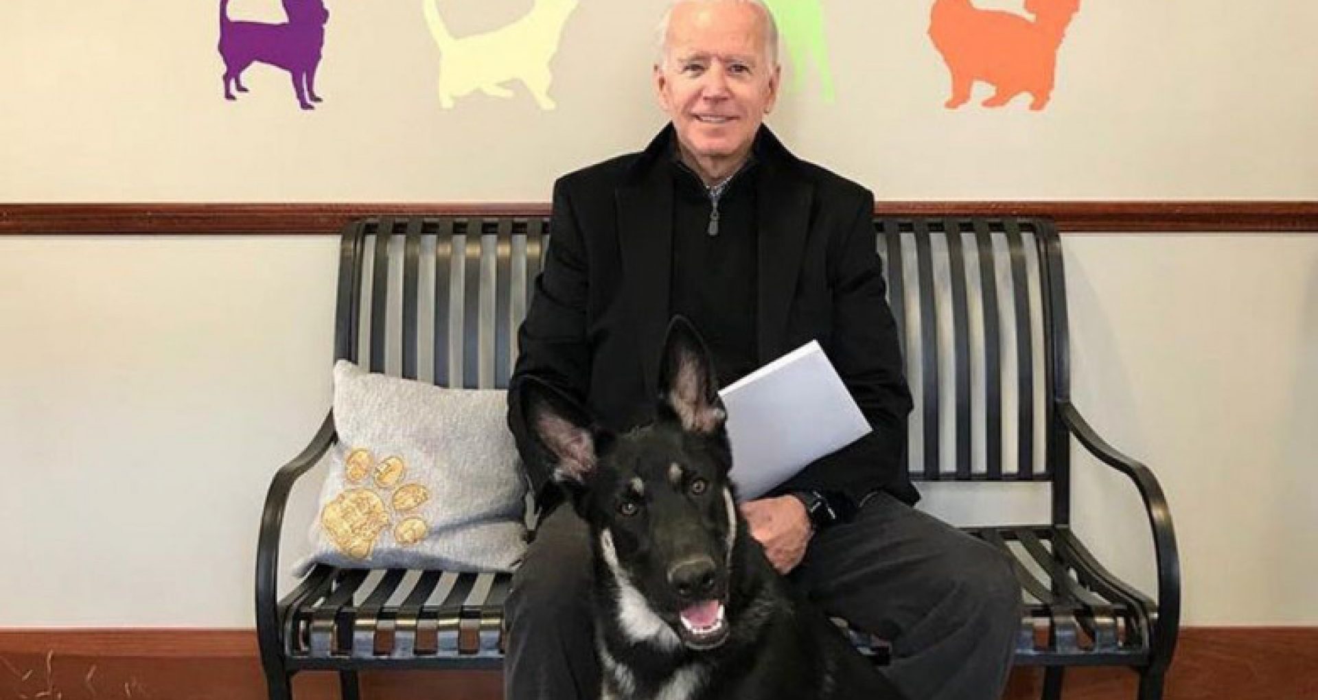 Joe Biden a alunecat în timp ce-și plimba câinele și are fracturi la oasele tălpii