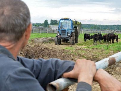 Fermierii vor fi susținuți de Guvern. În ce condiții pot fi accesate plățile per cap de animal?
