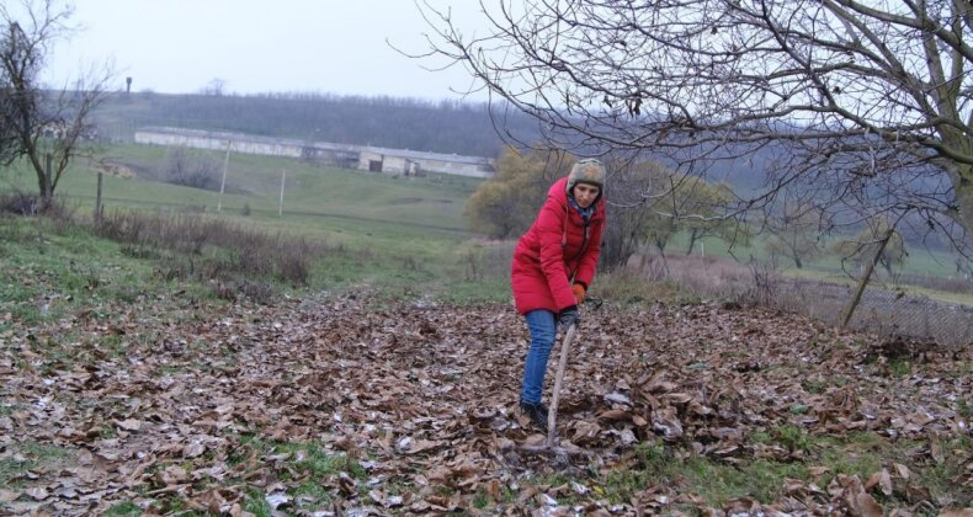 Activiștii de mediu spun „NU” arderii frunzelor: „În natură, nimic nu este în surplus, nu distrugeți acest echilibru”