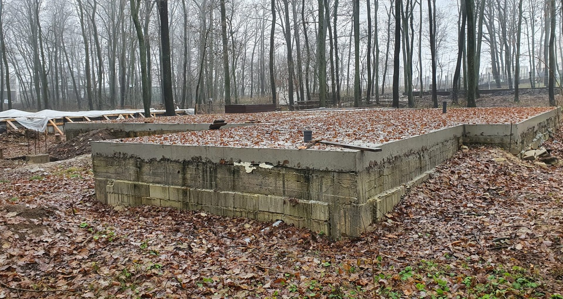 Betonul armat din Pădurea Durlești, turnat contrar condițiilor contractuale. Arbori tăiați ilegal, drum și gard neautorizat din beton – alte câteva nereguli