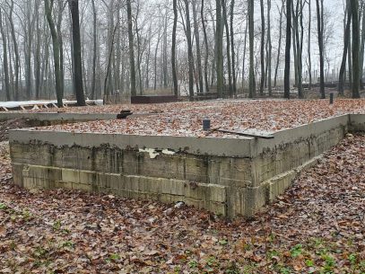 Fost ministru al Mediului, despre construcțiile din pădurea Durlești: Trebuie luat fiecare caz în parte până când nu va mai rămâne nici un gram de beton în pădure