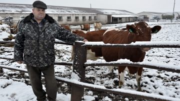 Foto simbol. sursa: http://www.ansa.gov.md/