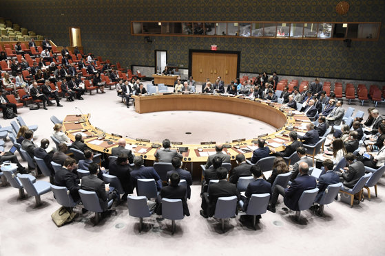 consiliul de securitate onu