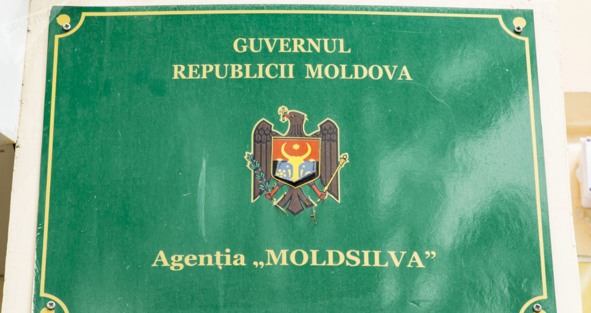 Numele candidaților admiși la concurs pentru funcția de director al Agenției Moldsilva