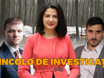 VIDEO/ „Dincolo de investigația” ZdG în care, acum un an, am descoperit beton armat în locul copacilor din Pădurea Durlești