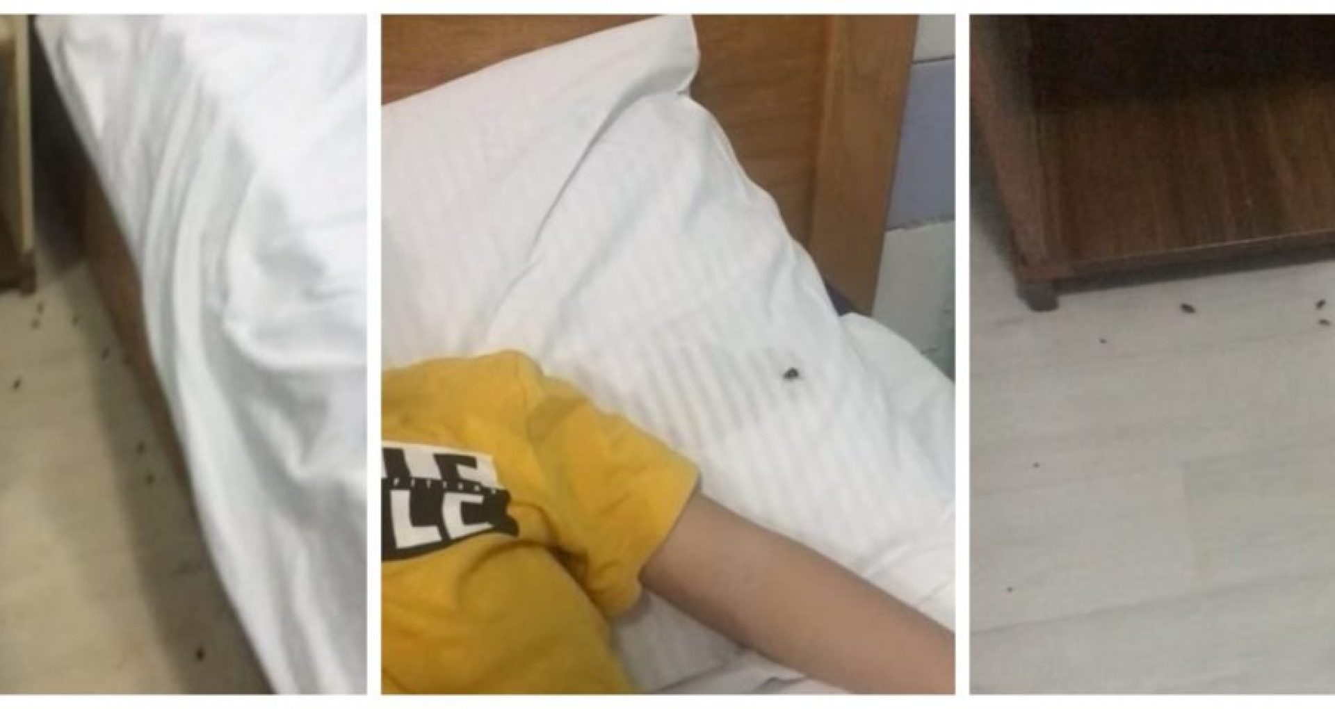 VIDEO/ Spitalul în care gândacii stau în pat cu copiii. Directorul spitalului: „De ce mamele nu mătură?”