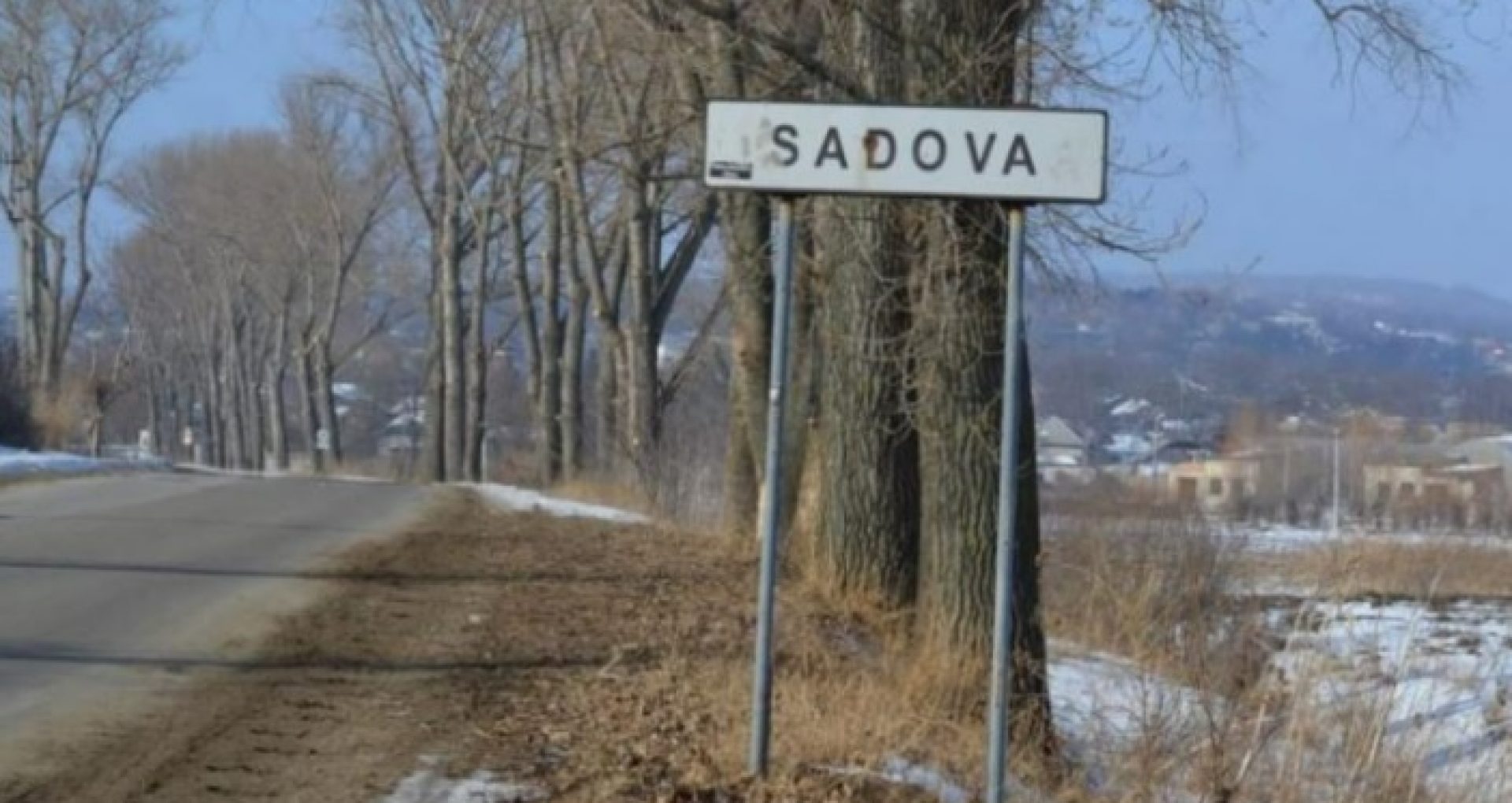 Ce au găsit procurorii pe teritoriul firmei deținute de fratele socialistului Dodon în timpul perchezițiilor efectuate la Sadova