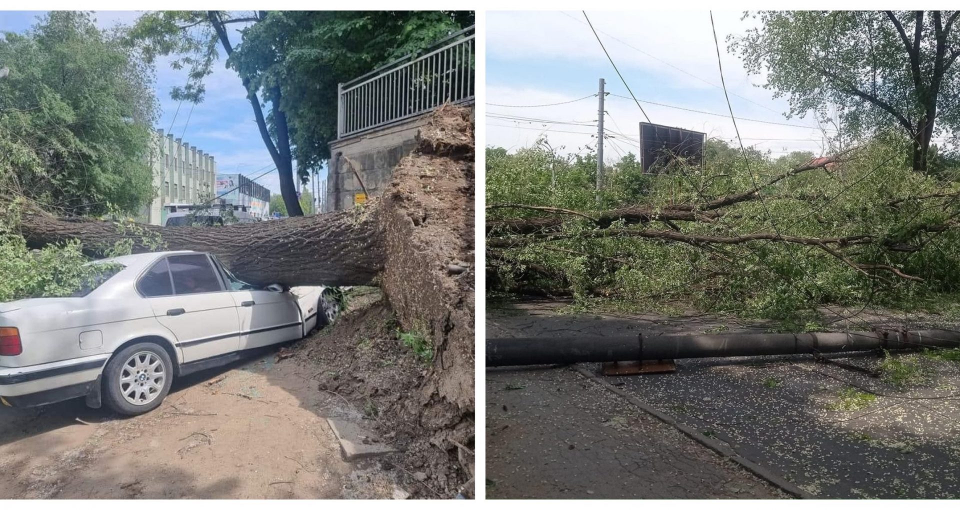 FOTO/ A mai căzut un copac în Capitală. O mașină a fost distrusă, iar un pilon electric doborât