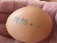Un lot de ouă cu risc de prezență a Salmonellei, retrase de pe piață. Persoanele care au cumpărat ouă din acest lot sunt rugate să nu le consume și sunt în drept să le returneze magazinului