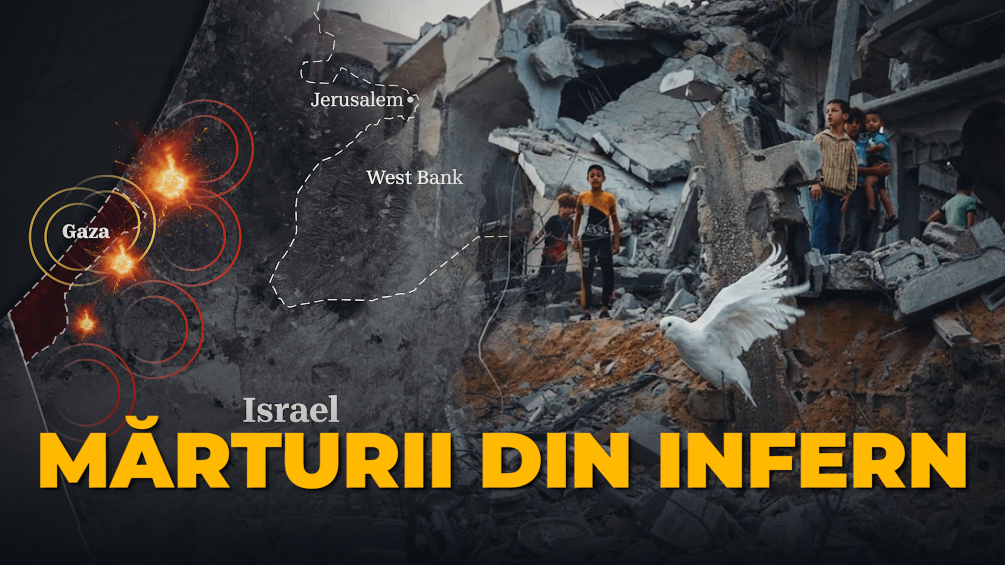 Шуфик мемы. Нетерпится. Нетерпится. Плачет gif. Цитаты про встречу с подругой.