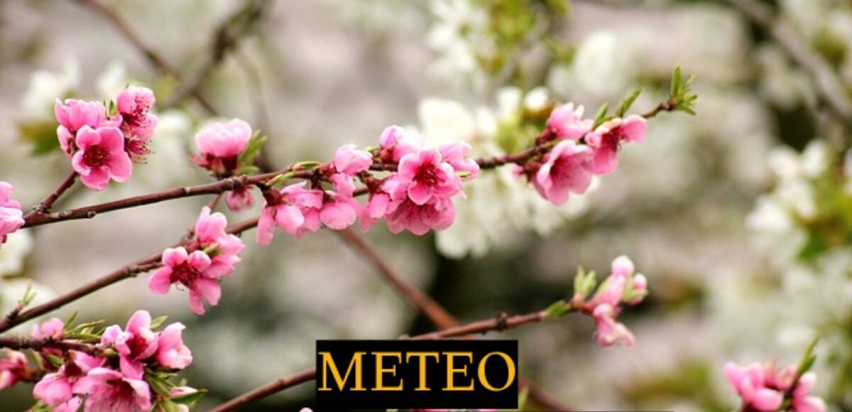 Cum va fi vremea în săptămâna dinainte de Paștele Blajinilor