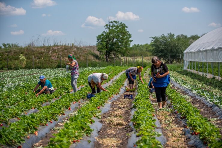 UNDP Moldova