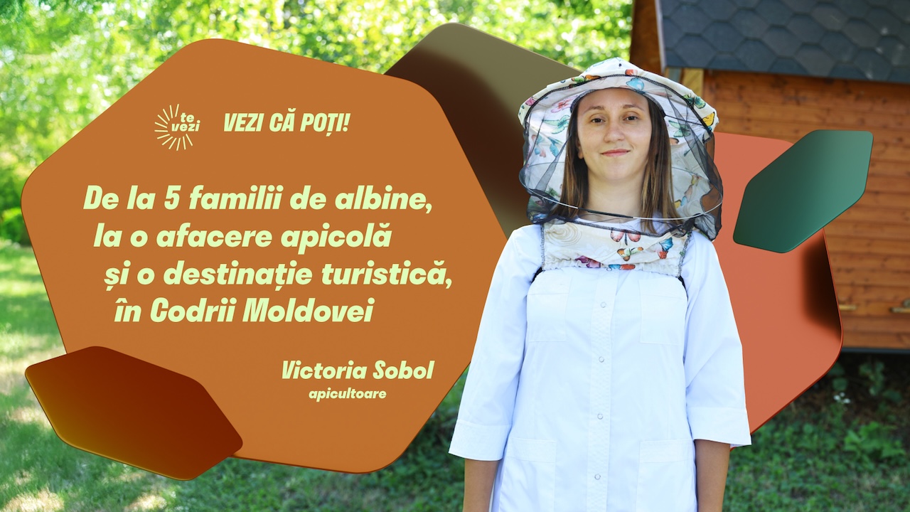VIDEO/ Vezi că poți! A zidit o afacere ca-n poveștile bunicilor: cu sute de stupi de albine, o căsuță țărănească și o locație de vis în Codrii Moldovei. Vezi istoria Victoriei Sobol