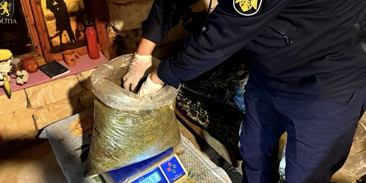 Marijuana în valoare de 5 milioane de lei, găsită la un bărbat din Orhei
