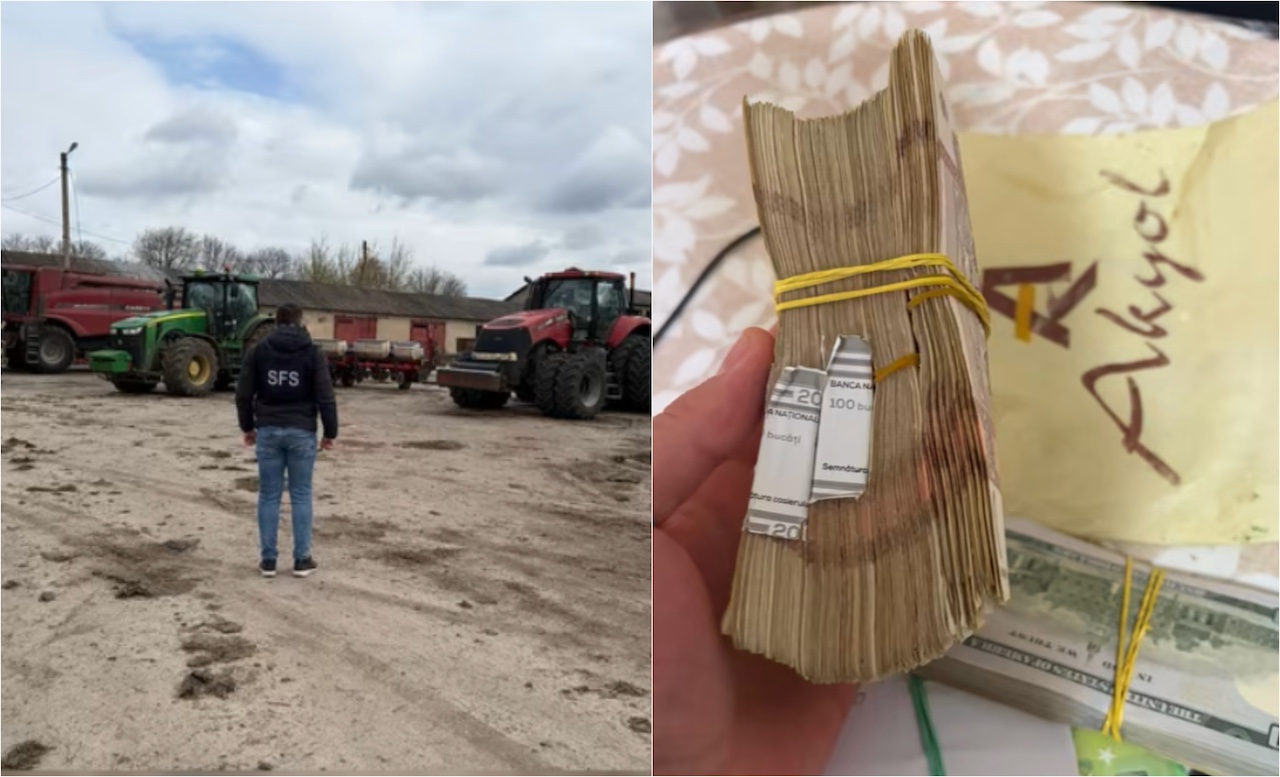 Schemă de evaziune fiscală și spălare de bani, cu prejudiciu la bugetul de stat peste 7 milioane de lei: 12 percheziții la companii din domeniul agricol