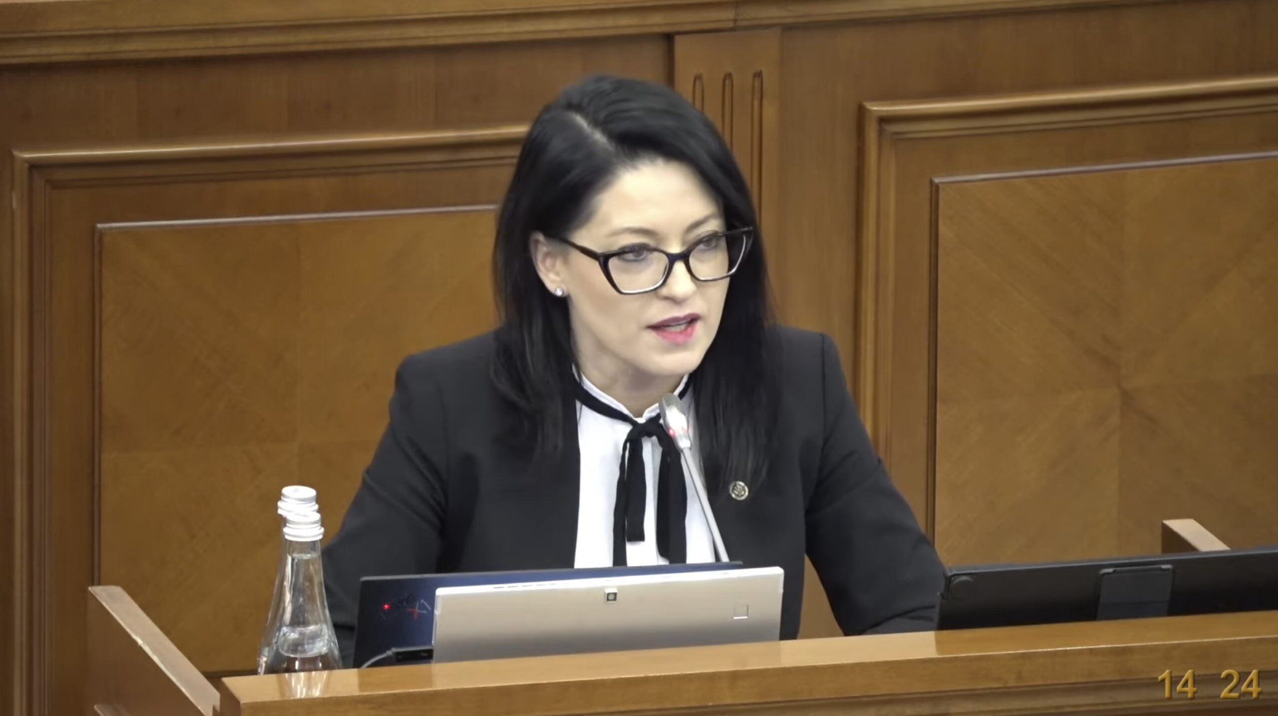 LIVE TEXT/ Ministra Muncii și Protecției Sociale prezintă raportul în plenul Parlamentului