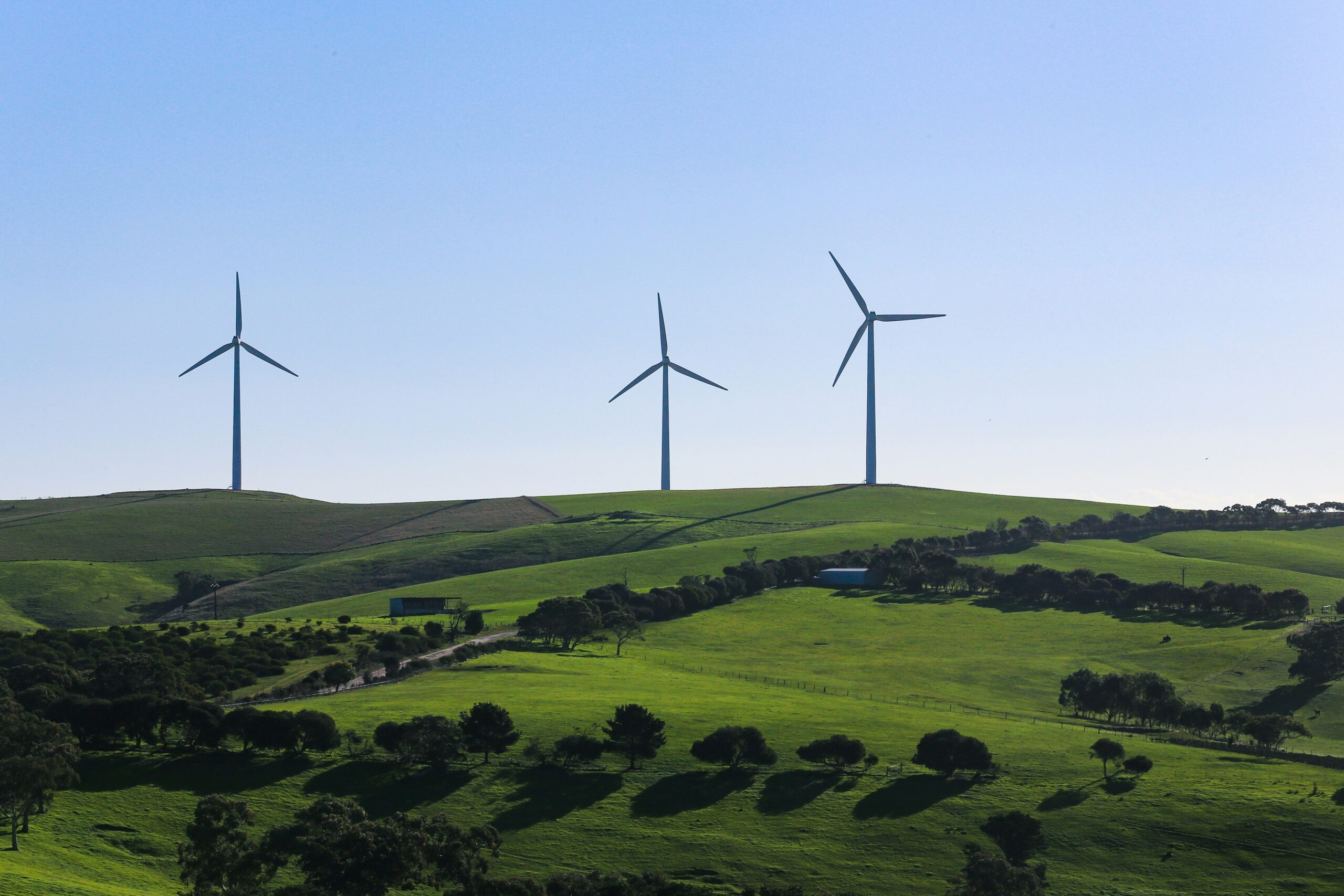 Comisia de licitație a deschis ofertele tehnice pentru construcția a 170 MW de centrale eoliene, cu obligația instalării capacităților de stocare a energiei