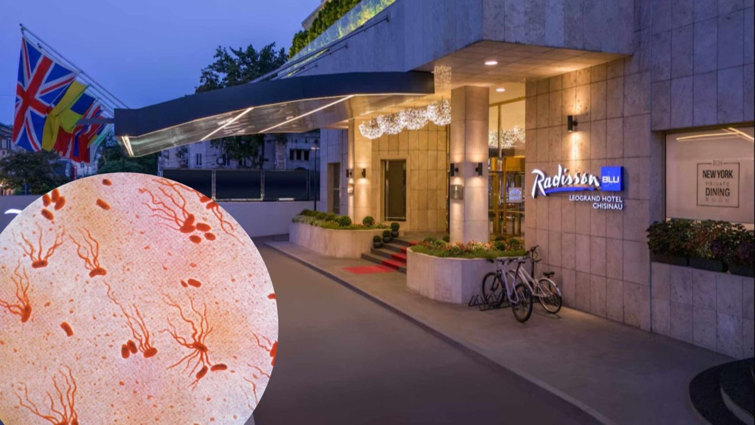 Salmonella la un hotel din Chișinău: 13 persoane sunt internate la Spitalul de Boli Infecțioase „Toma Ciorbă”